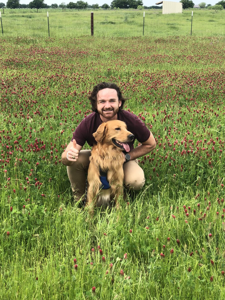 Angela Reid BCBA tweet media