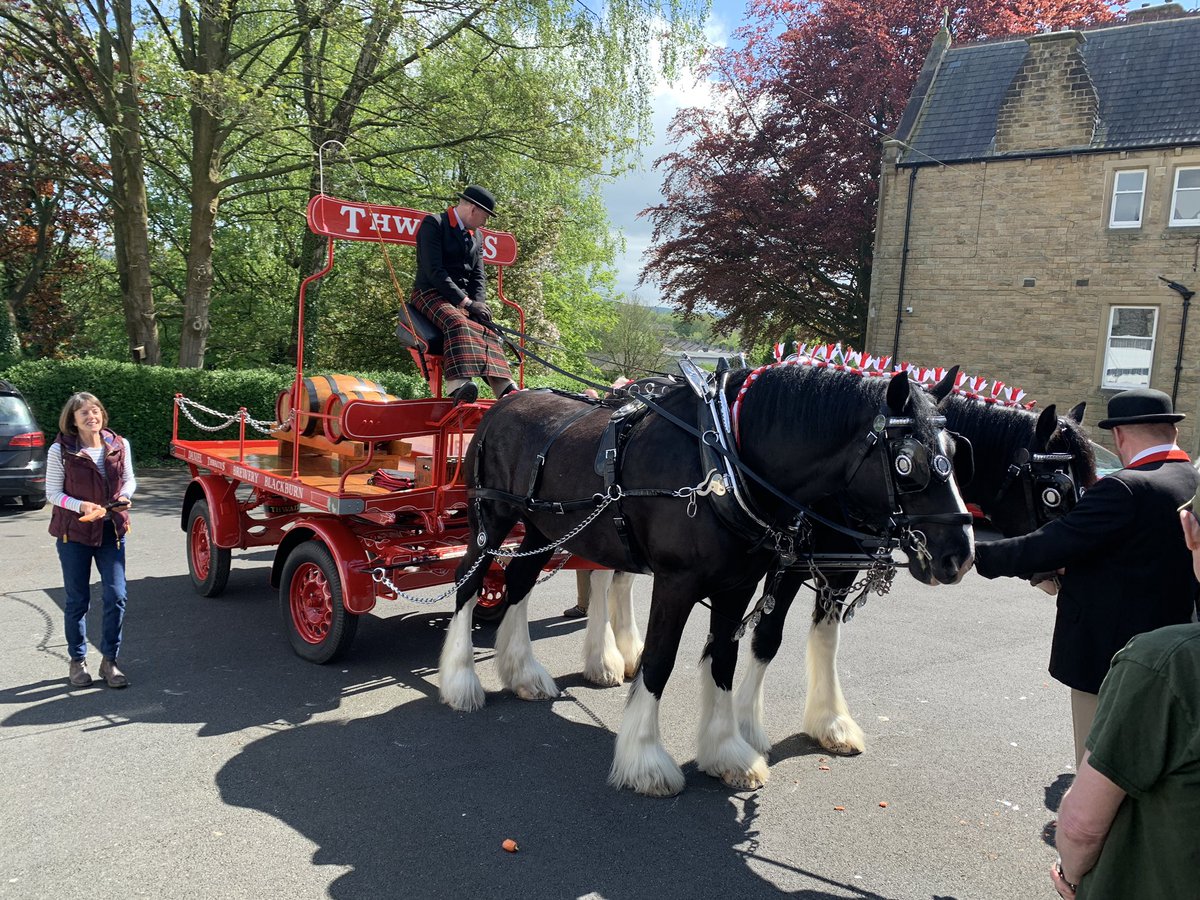 Our very special visitors have arrived. Everyone loves the @ThwaitesBrewery Horses. Get yourselves down if you want a photo op or to feed a carrot or two