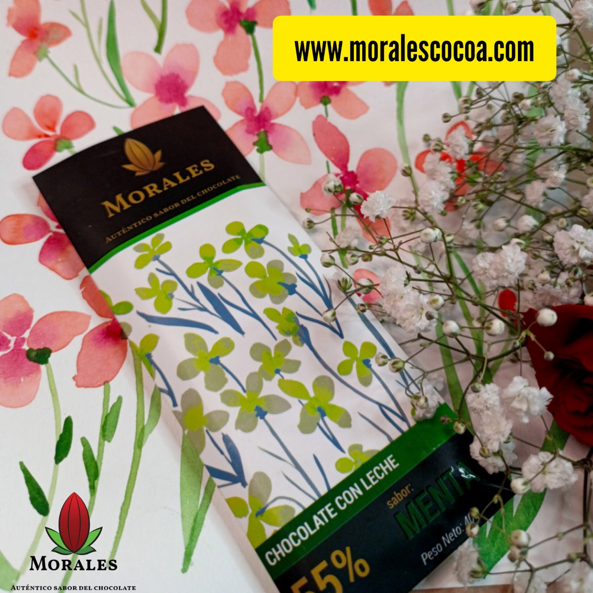 moralescocoa's tweet photo. La menta es una planta muy usada por las culturas andinas como vigorizante y para una mejor digestión. Disfruta nuestros productos contienen aceite esencial natural de menta. #menta #beantobar #chocolate #ecuador https://t.co/vAVxzAhkix