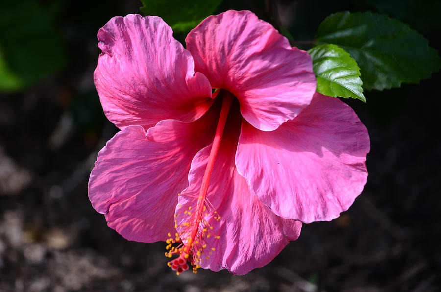 Swiss on Twitter "RT DebraMartz Back when I lived on North Padre