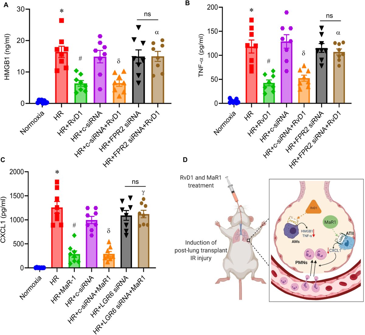 Protective role of specialized pro-resolving lipid mediators (SPMs) in inflammation-resolution during post #lungtransplant injury involves upregulation of macrophage efferocytosis to resolve allograft injury. @17000kmwalker 

🔗jhltonline.org/article/S1053-…