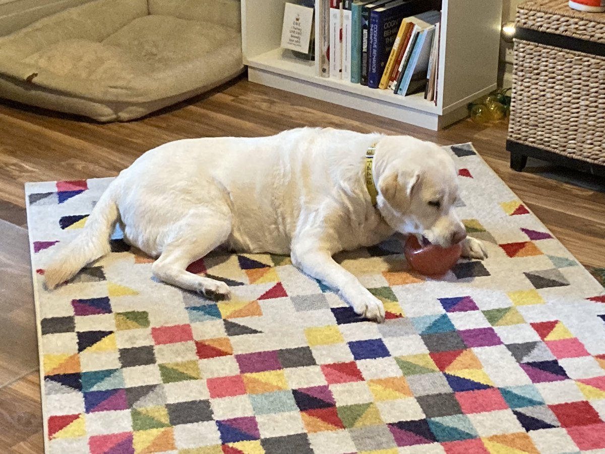 I am Lena’s mom tweet media