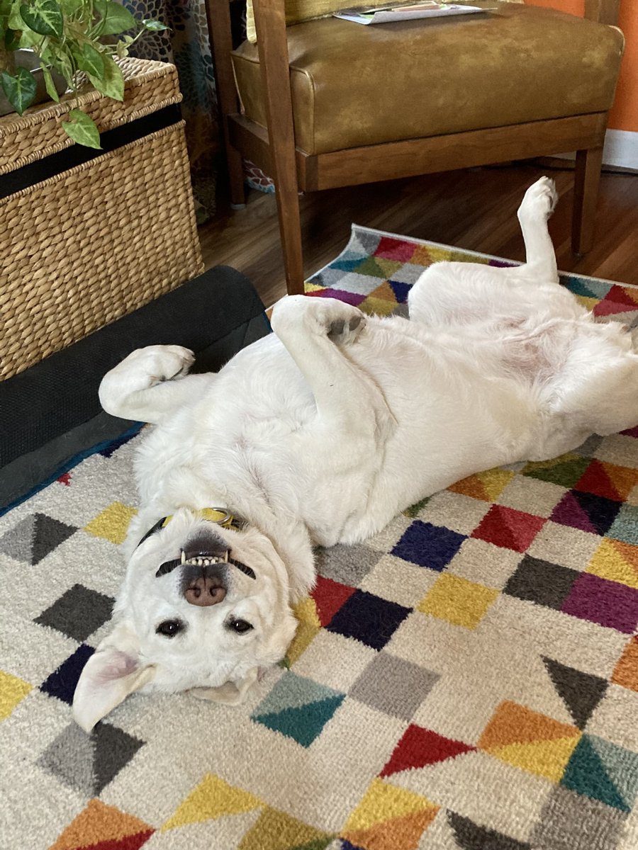 I am Lena’s mom tweet media