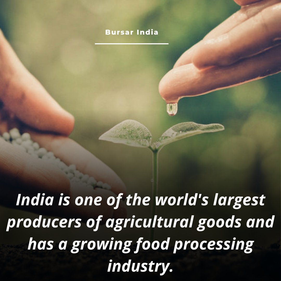 BursarIndia's tweet photo. India is one of the world's largest producers of agricultural goods and has a growing food processing industry.

#india #agriculture #farming #growing #growth #success #business #indiaeconomy #goods #food #industry #startup #bursarindia https://t.co/SwUdc4BbDy