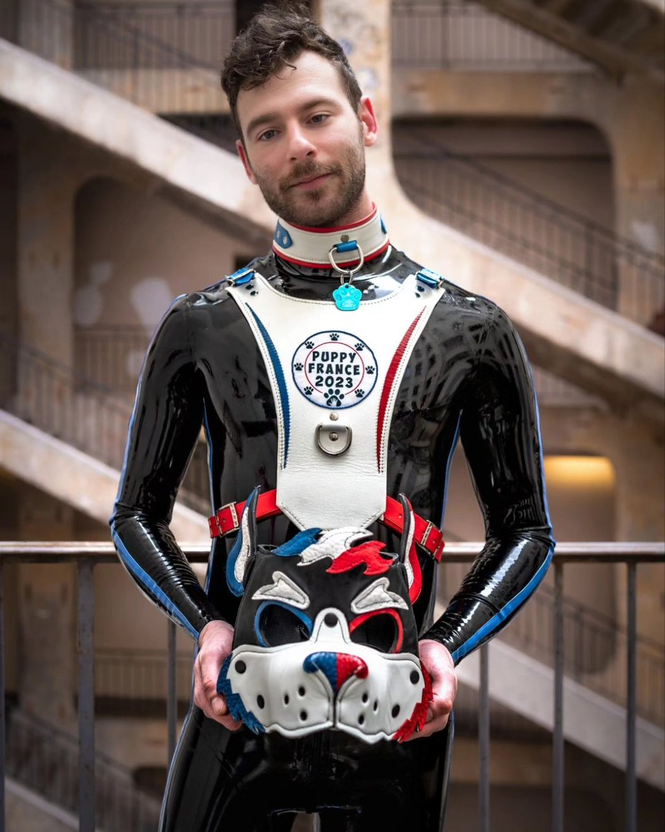 DogBoiBailey 🔞🐕🇨🇵 🔜 London+FWL (7-15 July) tweet media