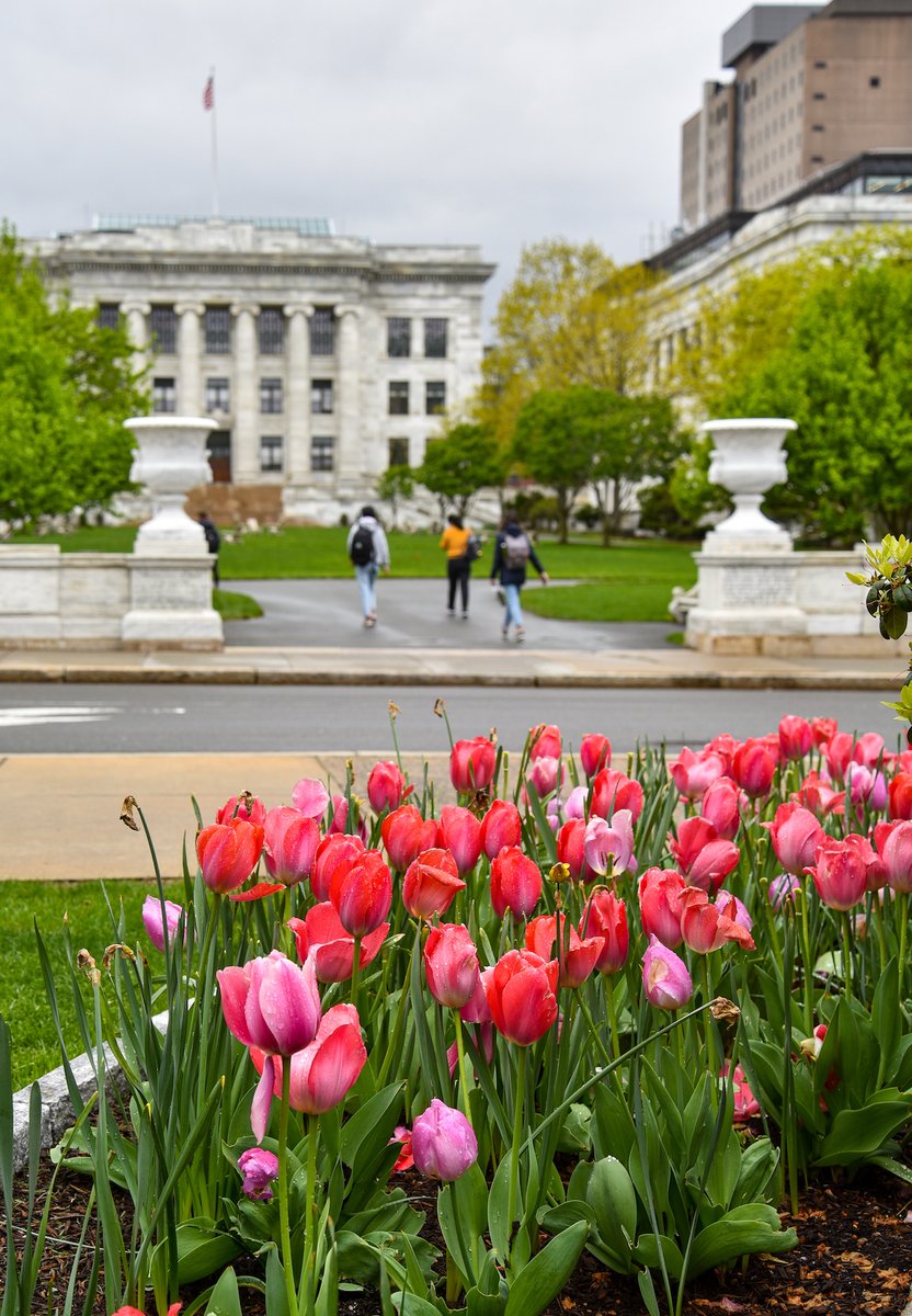 harvardmed's tweet photo. ๐ท #HarvardInSpring https://t.co/gOD55u1vg7