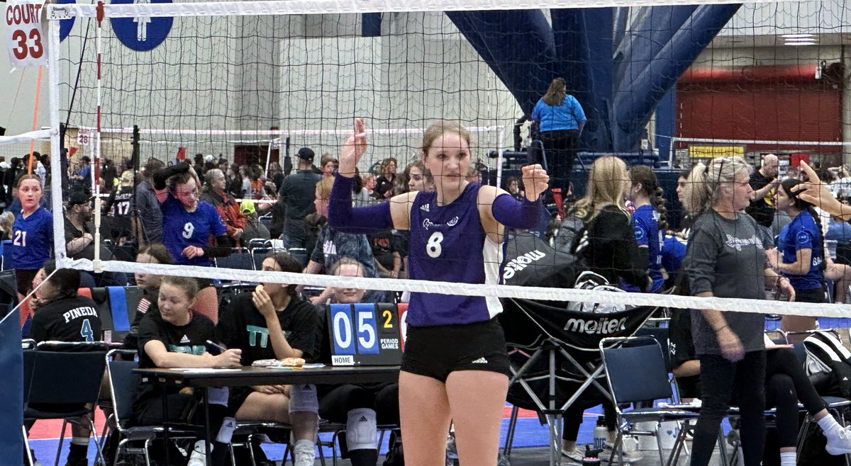 Guilherme Torres tweet media