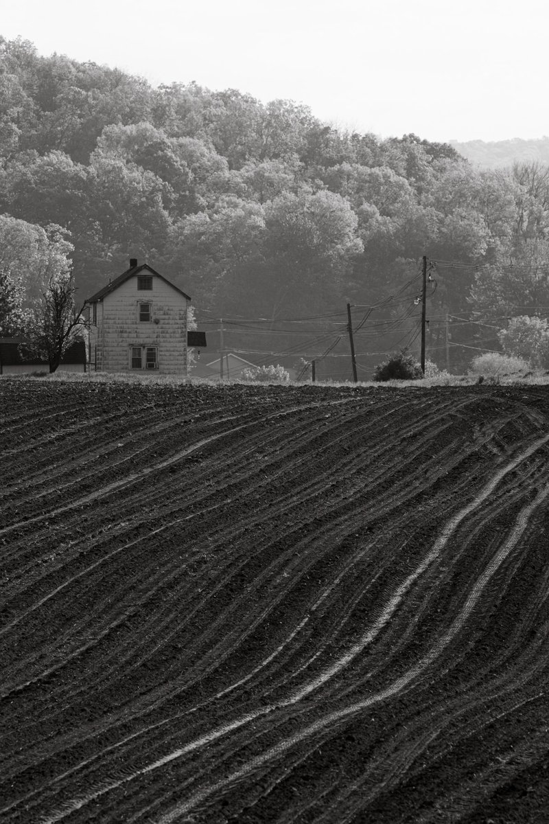 Rob Yaskovic tweet media