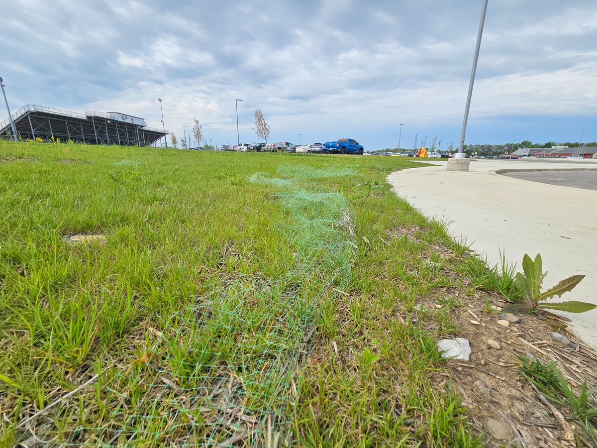 PSA to Landscape Architects and Civil Engineers: Erosion control matting has limited efficacy for establishment in most managed turf areas. Further, it creates safety issues and turns into an absolute maintenance nightmare during grow in. There are better ways.