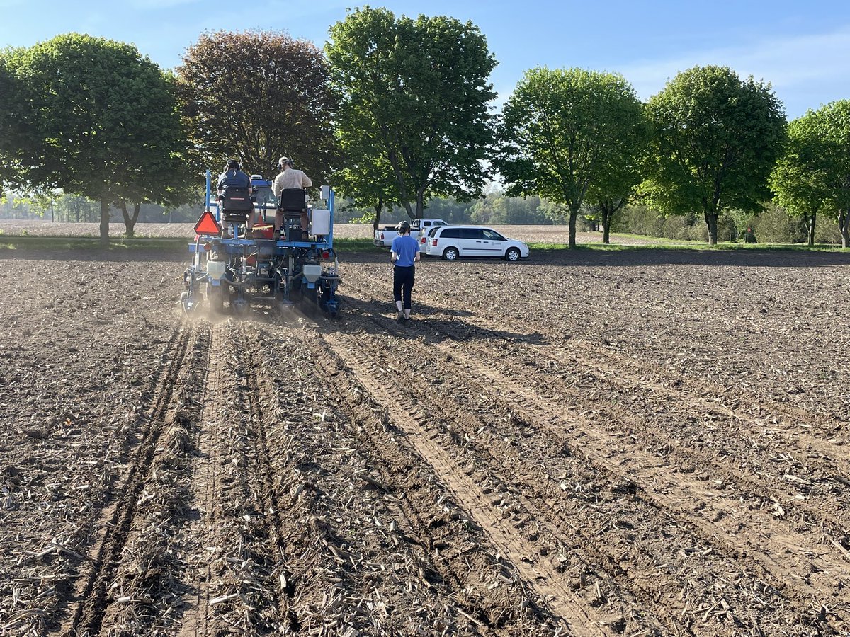 AlbertTenuta's tweet image. #SCN and #SDS seed treatment evaluation trials in Rodney, ON today 😃 Part of large regional project with U.S colleagues #NCSRP @GrainFarmers @rodrigobonofre @dsmuelle @esk_milad @wscottjay #plant23