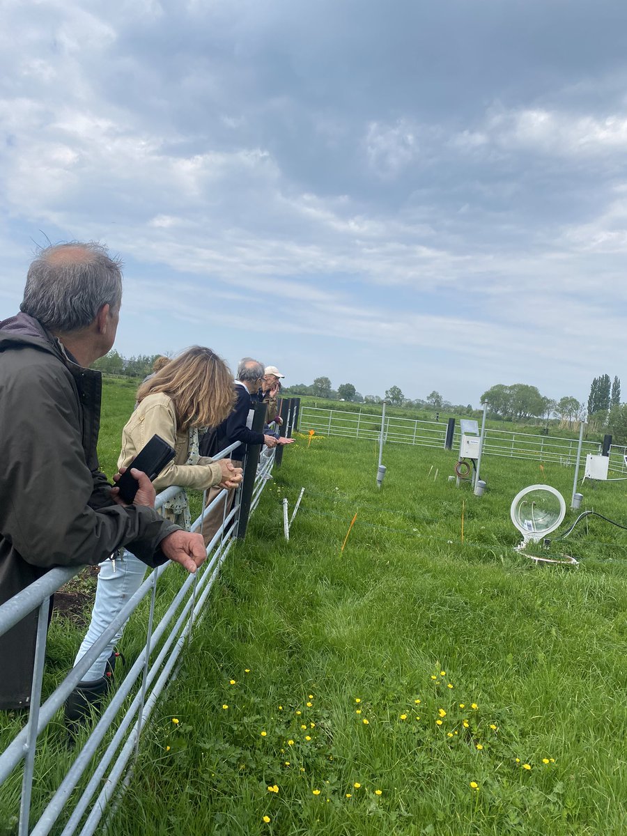 linda_nol's tweet image. #Tripdownmemorylane bij @bodemkunde themamiddag bodemdaling en broeikasgasemissies in het veenweidegebied in #Zegveld 13 jaar na mijn proefschrift waarvoor ik hier heel veel ben geweest!