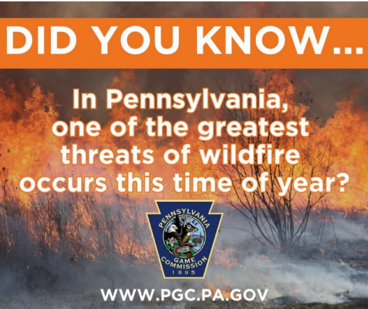 aid_in_pa's tweet photo. Check out May's issue of the #ReadyPA Newsletter from @PEMAHQ! 👀 👉 https://t.co/cP407YXJa7

🌀 #HurricanePreparednessWeek
🔥 #Wildfires in Pennsylvania
🏢 #NationalBuildingSafetyMonth
...and more!

#PEMA https://t.co/yJb9QDpeuo