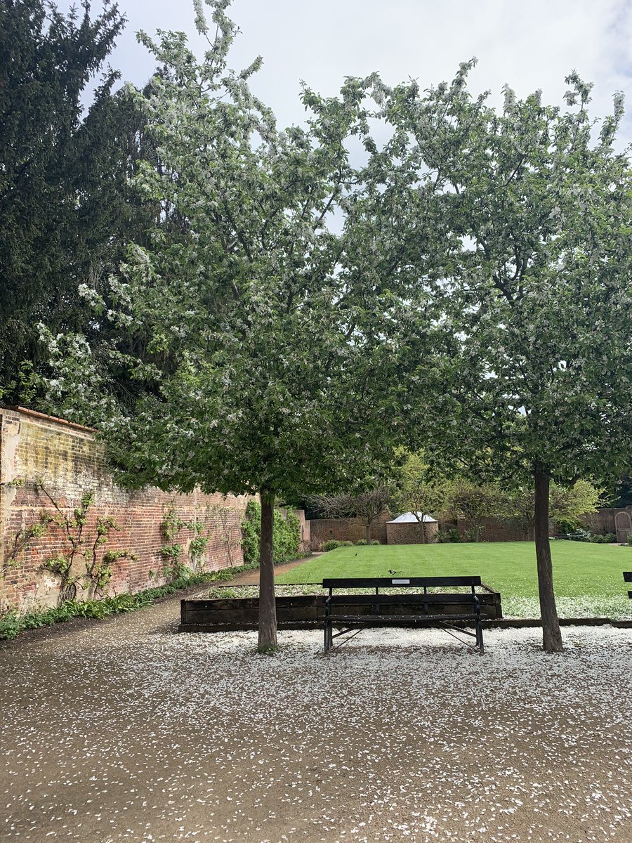 GardenersCottageCafe tweet media