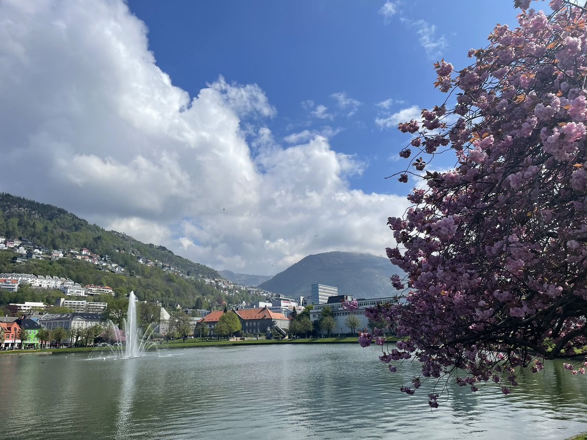 Great to be at the Nordic Media Days conference in beautiful Bergen this week. Thanks to <a href="/MediaCityBergen/">Media City Bergen</a> and <a href="/mediedager/">Nordiske Mediedager</a> for having me here to talk about <a href="/GuardianVisuals/">Guardian Visuals</a> and our work #nmd23