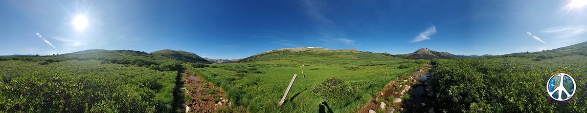 TrailofHighways's tweet photo. Looking down both directions of the trail on the Williams Pass at the same time, a different perspective
https://t.co/ioP99kJmZx
:
#hiking #backpacking #cdt #ct #flyfishging #onthefly #colorado #montana #wyoming #outdooradventures #flyfishingtrips #madisonriver @GetLostinAmeric https://t.co/BZoAXvJ1Ha