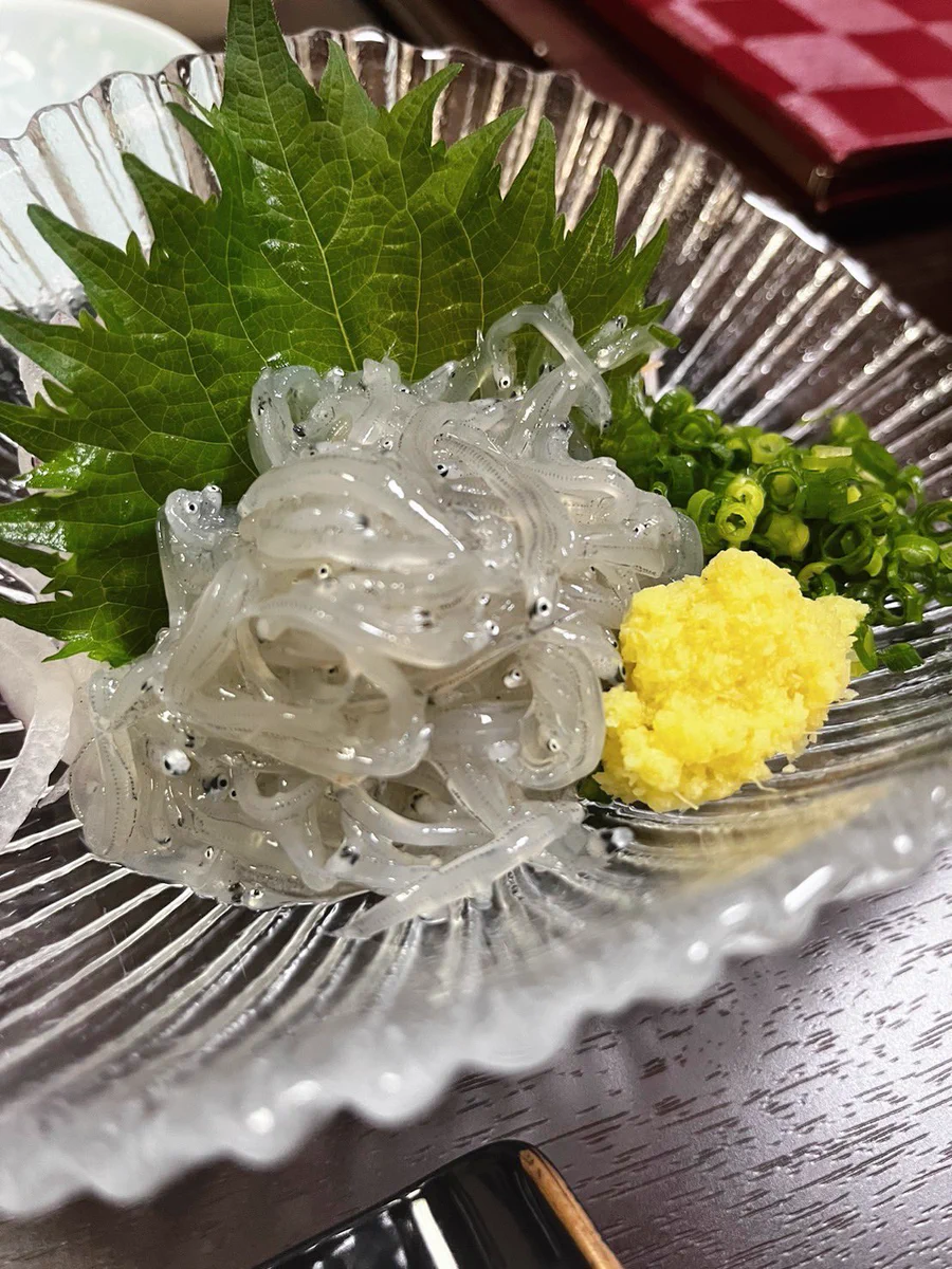 KAT-TUN中丸さんも感動！静岡は美味しいものの宝庫！
