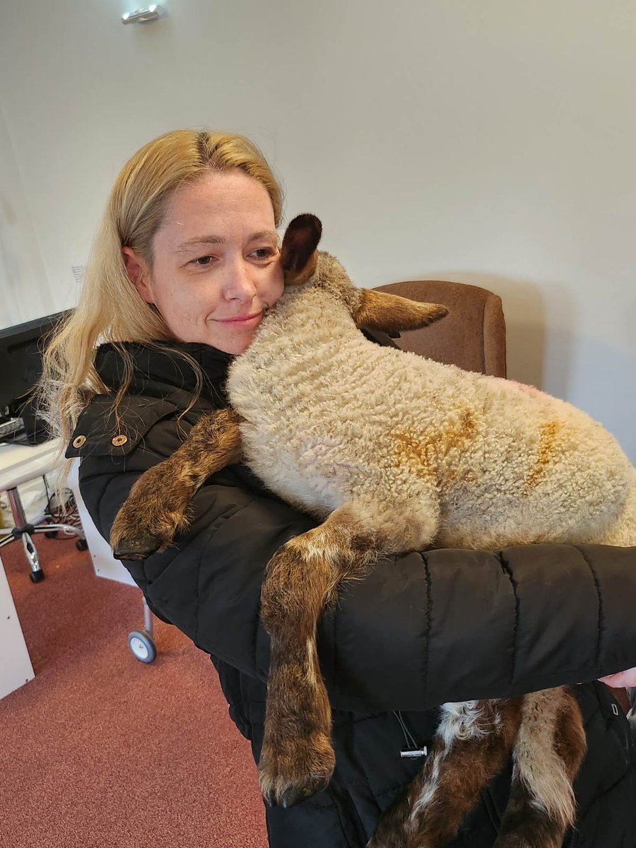 Happy Friday ❤️

Our residents and staff at Springhill had a lovely visit this week from two adorable little lambs 🐑💕