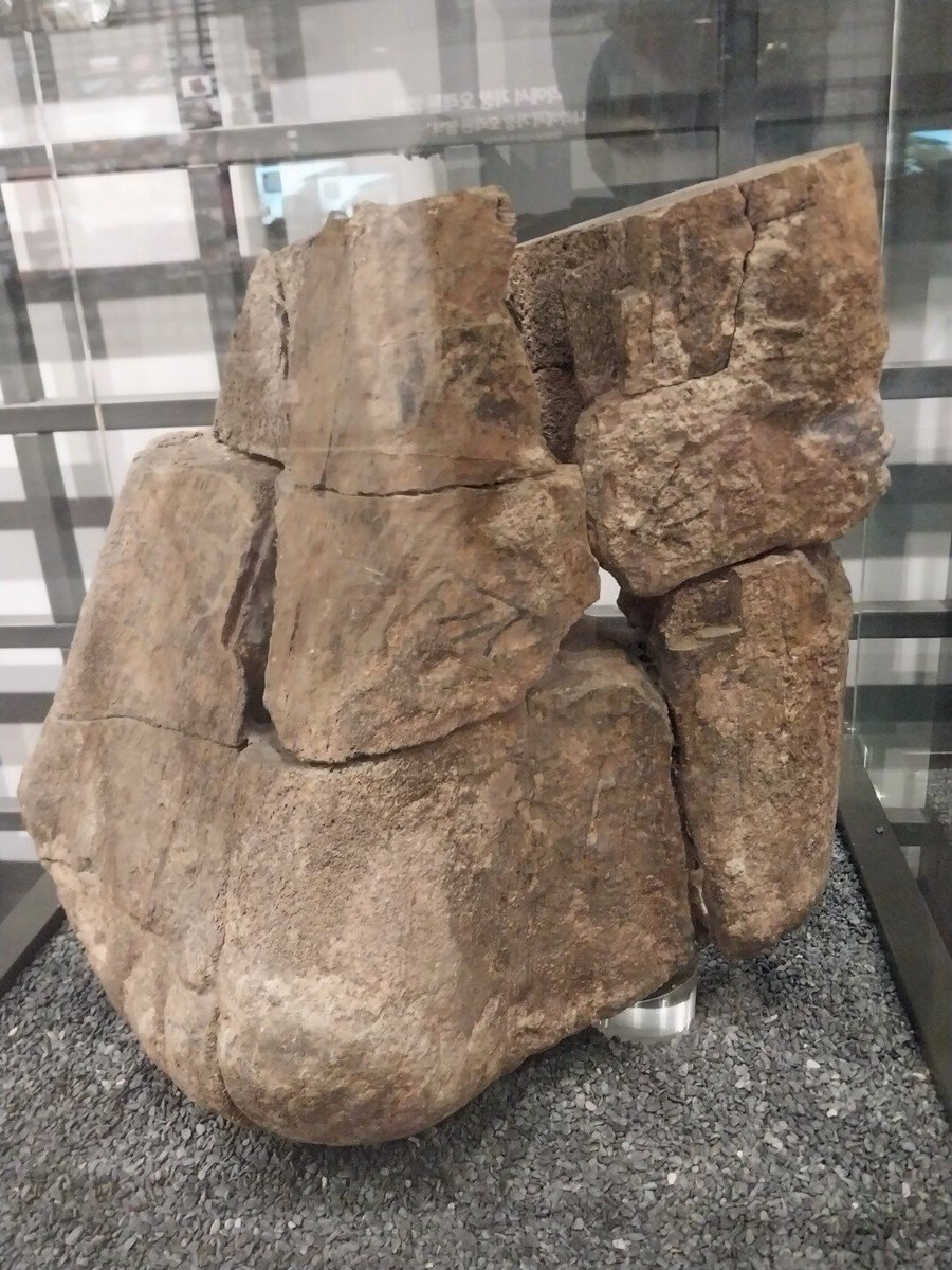Lewis Lee (Jurassic Korea) on Twitter "RT Palaeotaku FossilFriday