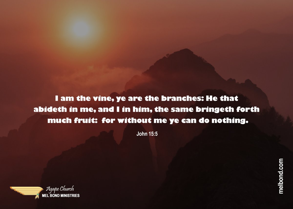 MelBond1's tweet photo. "I am the vine, ye are the branches: He that abideth in me, and I in him, the same bringeth forth much fruit: for without me ye can do nothing." John 15:5 🌱 Stay connected to the Source. #John155 #KJV #ConnectedToTheVine #SpiritualGrowth #MelBond https://t.co/g5nZVP5gmr