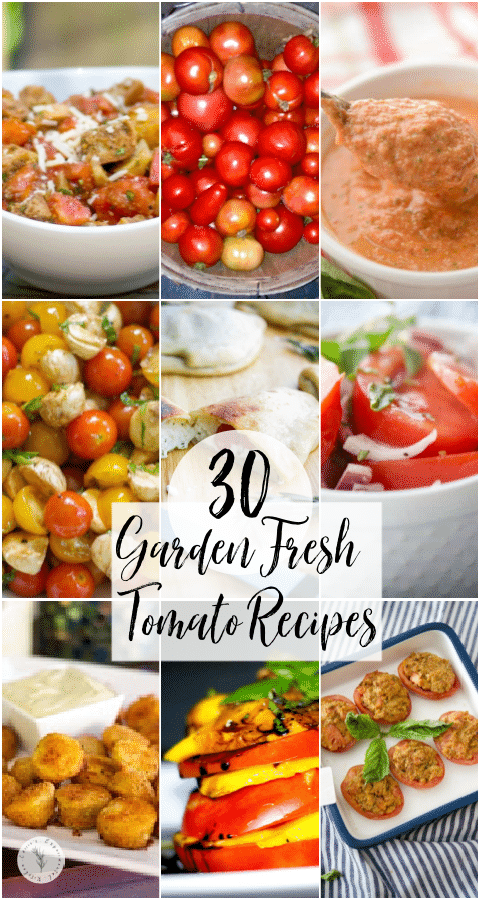 It's almost time to plant those tomatoes! Here are 30 recipes you can make this Summer with your bounty!

🍅 RECIPES--> carriesexperimentalkitchen.com/tomato-recipes/ 
#tomatorecipes