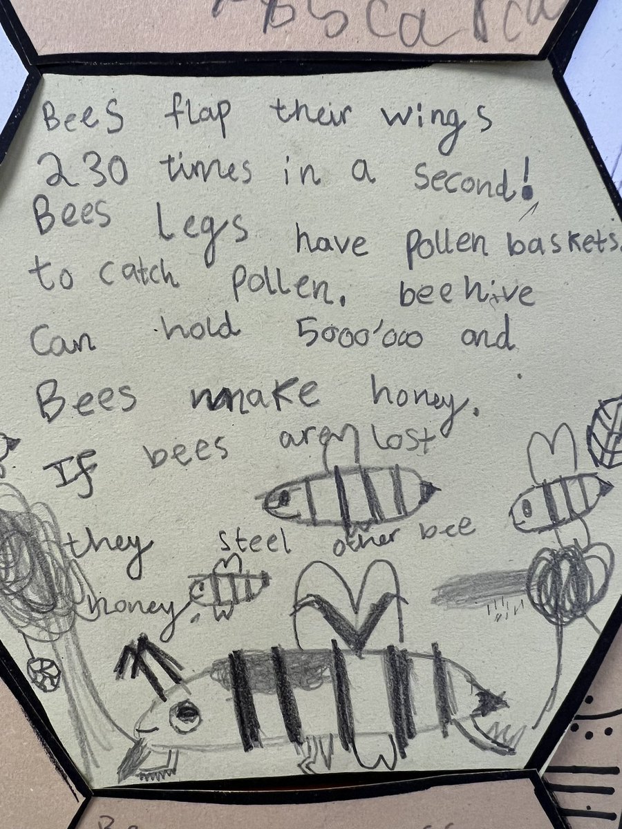 e1_stgeorge's tweet photo. We have been learning all about bees. Next week we are writing persuasive letters to Mrs Mouna asking if we can borrow Mr Hamilton to make a bee hotel for tired bees. Each honeycomb contains a bee fact or three… 🐝 @StAnnesgaCPS  @e1_stgeorges https://t.co/CRYn8wIrHx