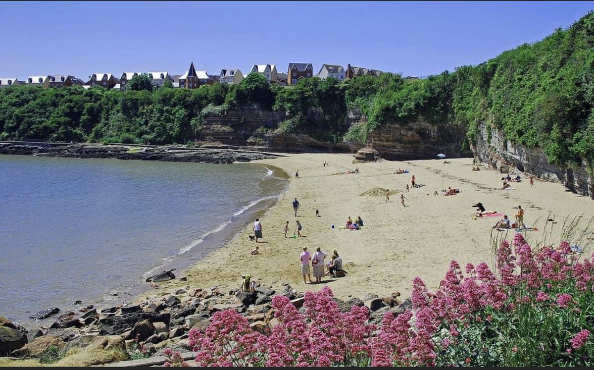 markepurcell's tweet photo. Sun is shining..

☀️ Compass Kitchen will be providing a Jackson's Bay service Saturday 13th and Sunday 14th May.

☀️ Snacks, hot &amp; cold drinks &amp; ice cream from 12pm until 6pm

#BarryIsland #beach #icecream #eatingout #byc #jacksonsbay #jacksonsbaybeach
#nellspoint @BarryYacht https://t.co/ZS8RaxLNbc