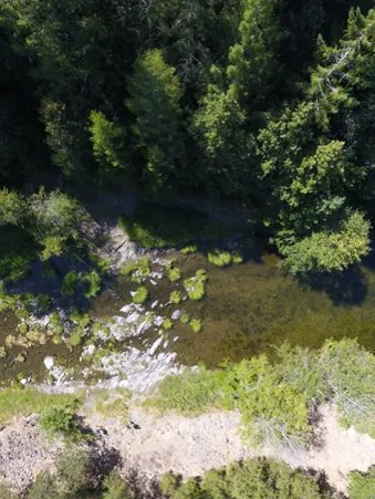 👀Behind The Paper👀

🔨In this new post, <a href="/GiBurrasca/">Gianalberto Losapio</a> discusses a roadmap for addressing how species maintain functional ecosystems🌍

📙buff.ly/3Me4JfL
Paper: buff.ly/3LR5Twr 
PLS: buff.ly/3LR5Twr