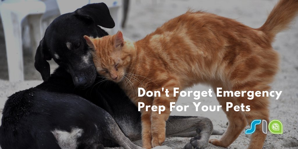 Pets need an emergency plan too! Make sure you have at least 3 days' worth of supplies set aside for your furry family members.

#EPWeek2023 #EmergencyPreparedness