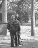 ncccli's tweet photo. Congrats to Peter Kremelberg on their B&amp;W-B The Rooster Crows At Midnight on receiving a 9.5 
View all April scores on our website https://t.co/ZbD1D74Z5g 

#NCCCLI #NewYork #CameraClub #LongIsland #Levittown #competiton https://t.co/WPAVRs6YO3