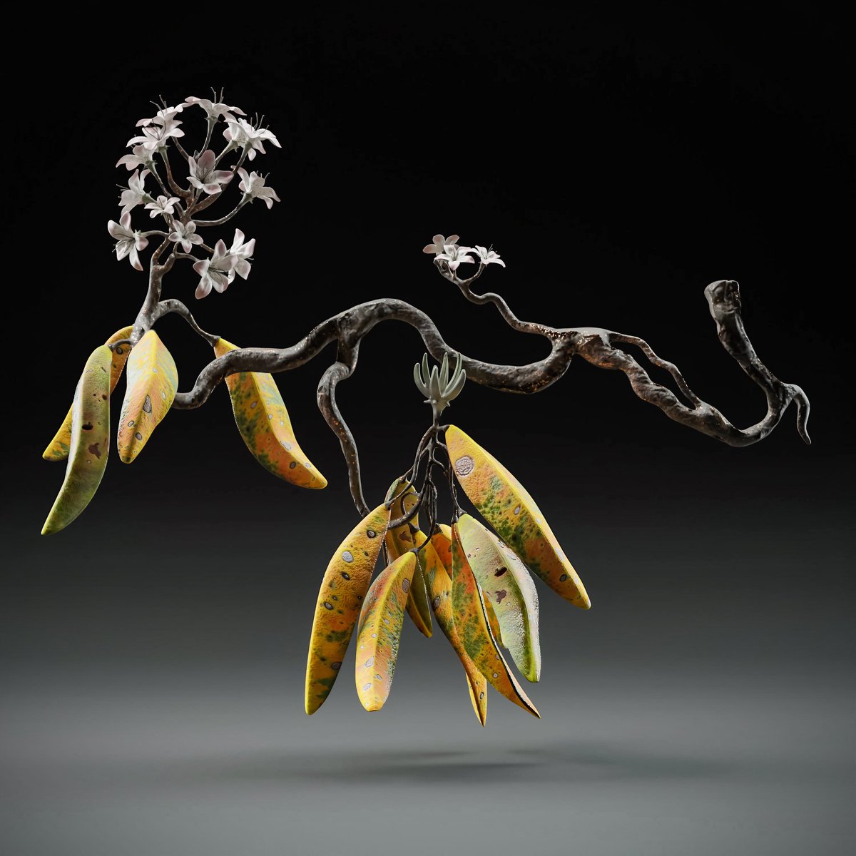 Création 3D fortement inspirée du travail du céramiste Michael Sherrill 🍂