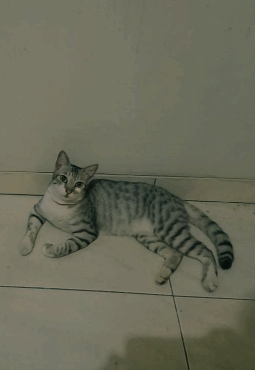 beloved🤗
my half world
I love u to the moon and back