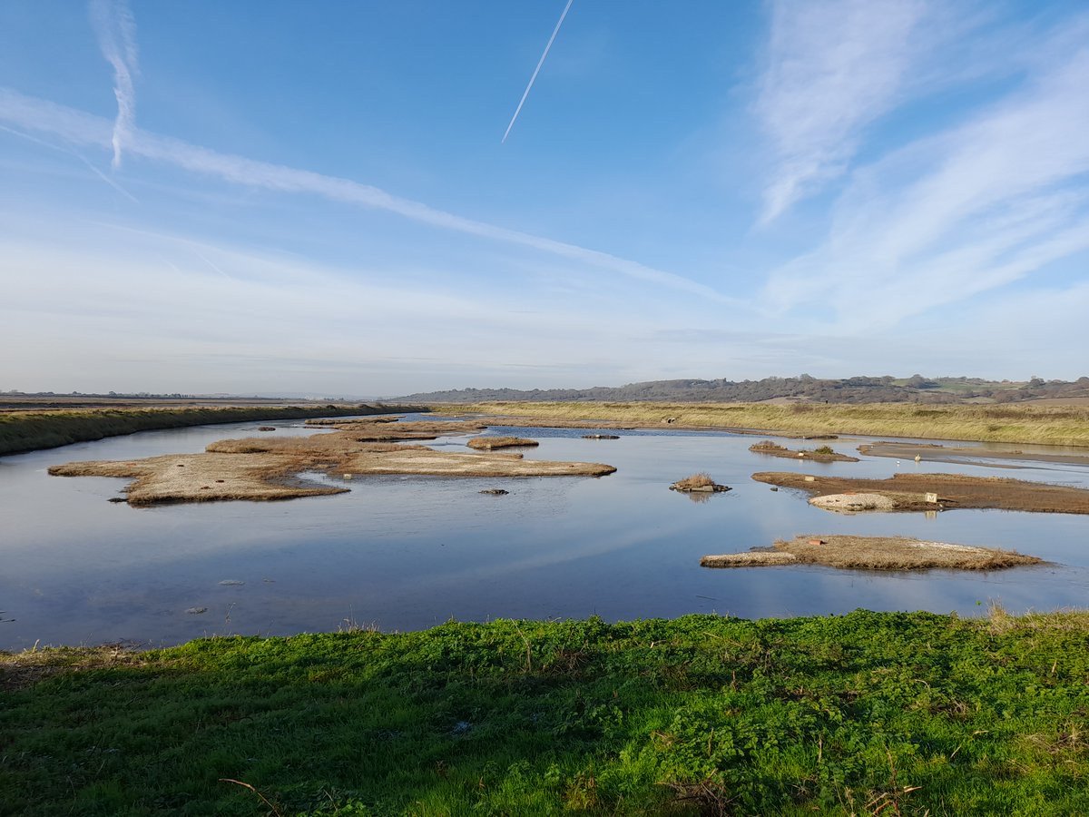 Coastal lagoon at Two Tree Island, small but very important refuge for waders and waterfowl near the internationally protected #ThamesEstuary. Two Tree Island is designated as Local Nature Reserve, National Nature Reserve, SSSI and SpecialProtectionArea #Southend #London #Thames