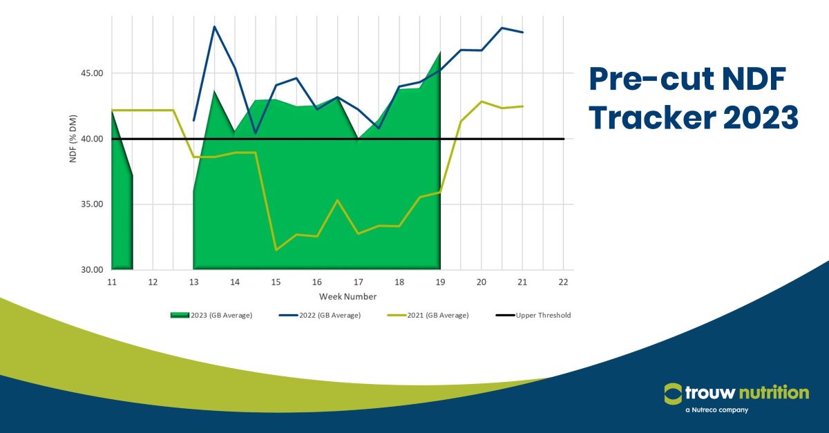 TrouwNutr_GB's tweet image. Average NDF content has now increased to 45.8% DM (target 38-40% DM). Many farmers have begun or completed first cut. Now is the time to send in your own samples to understand your farm's potential silage quality.
Read more trouwntr.tn/2n2

#Silage #TNGB #PreCut