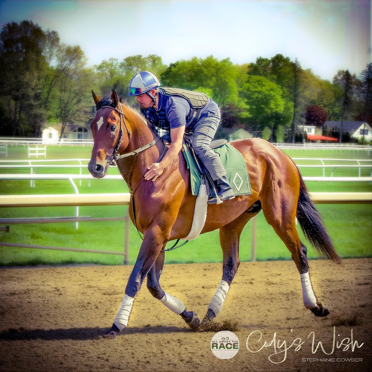 The horse behind racing's #1 heart-warming story has arrived at #Saratoga.💫

📷: @cowsergroup 

#AllAboutTheRace #TheBusinessOfHorseRacing #HorseRacing #CodysWish #JuniorAlvarado #NYRA #BillMott #Godolphin #Curlin #HillNDaleFarm #SaratogaRaceCourse #SaratogaRacing #BreedersCup
