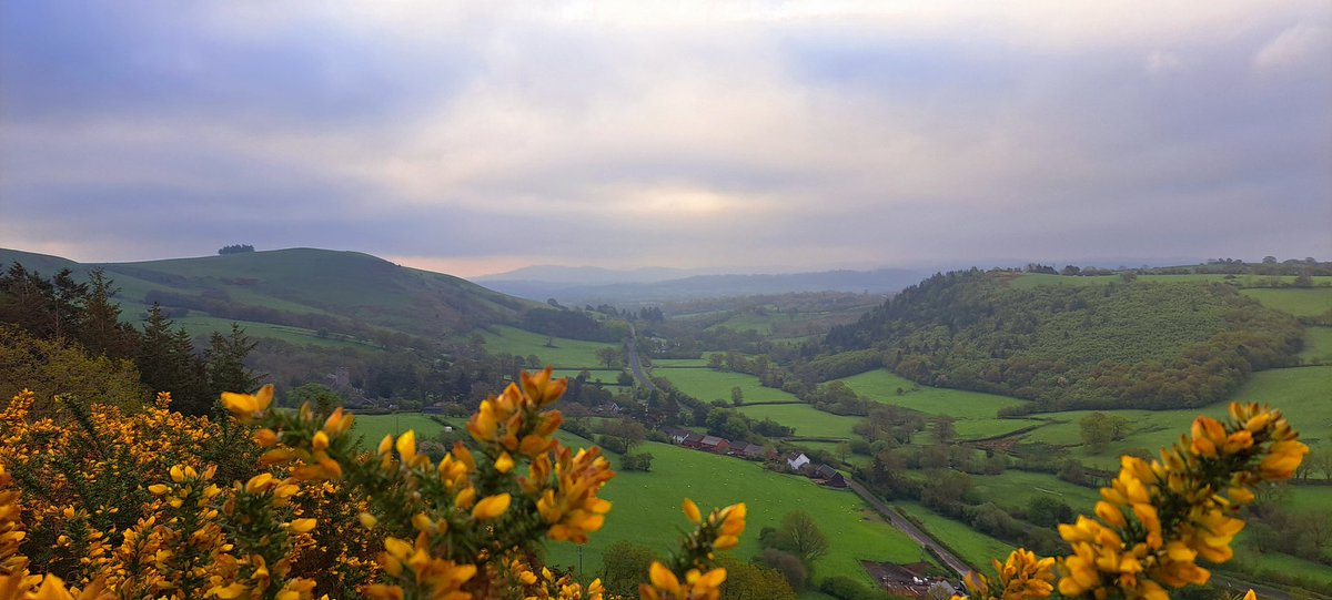 Orla #peoplewithpassion shares - Nantmel Powys
#welshpassion courtesy @orlarosaleen