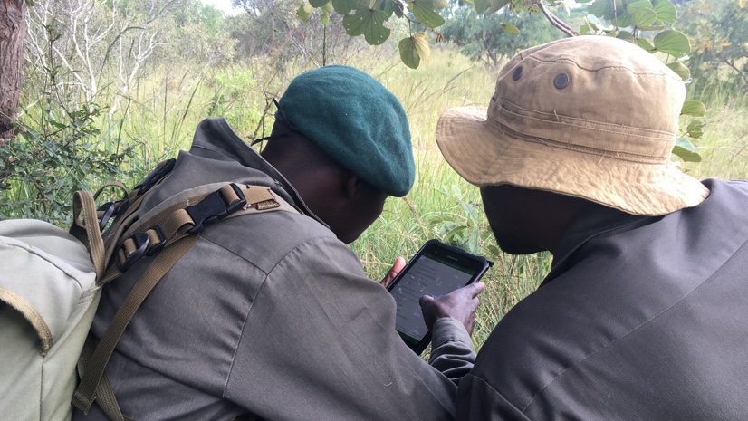 Geospatial apps provide a framework for black rhino conservation management at @Imire_Zimbabwe, leading to successful population management of this endangered species. ow.ly/TCmy50Omwmt