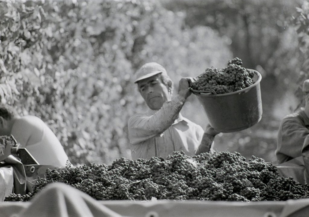Il 27 e 28 maggio prossimi si terrà a #Loppiano un appuntamento per celebrare la nascita della  Cooperativa Loppiano Prima, che con la sua attività ha anticipato la cultura del cosiddetto "#biologico". 
loppiano.it/2023/05/12/lop…