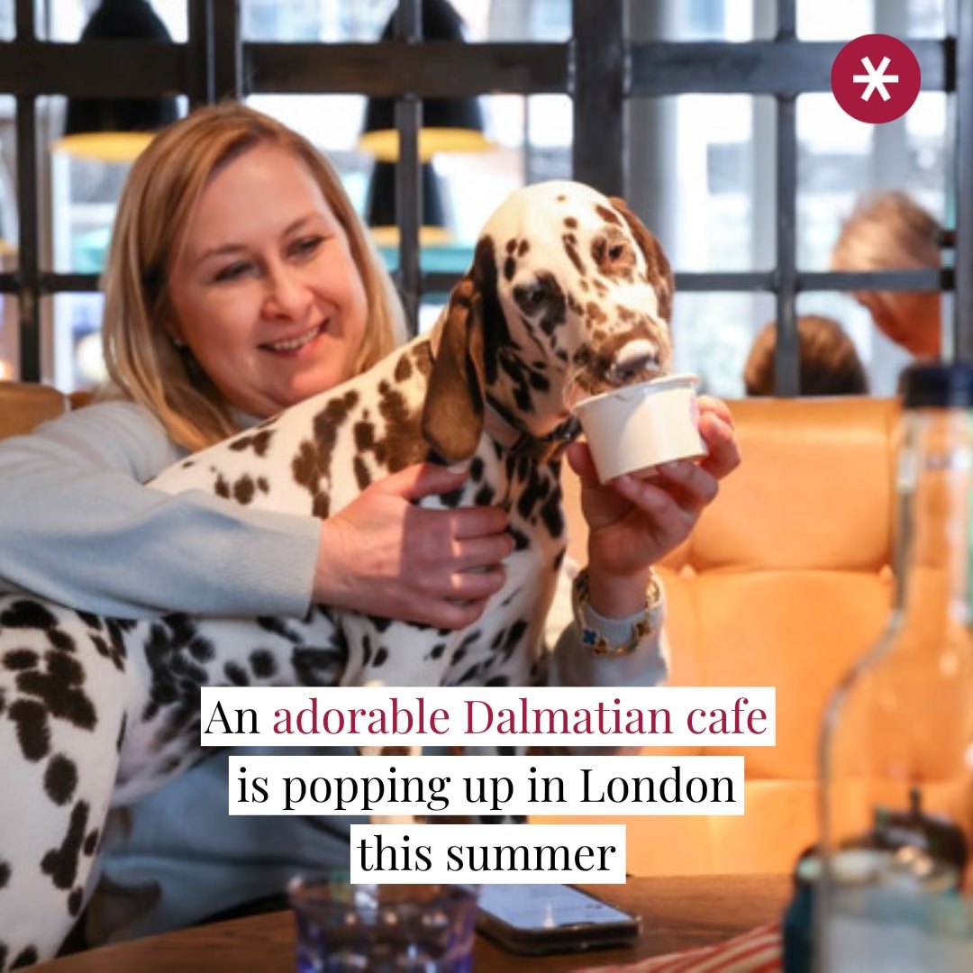 . <a href="/popandbarkHQ/">popandbark</a> are bringing our beloved spotted canine friends for some furry fun this summer in a Dalmatian Cafe.⁠
⁠
The cafe will be open for Dalmatian owners and any dog lovers who are keen to see a parade of Dalmatians.⁠
⁠
👉 Find out more: bit.ly/3Mn9FyU
