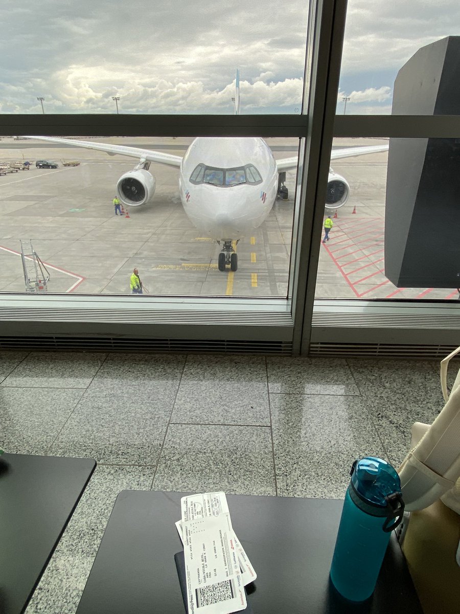 Nicole Caba 🗺️🐶 tweet media