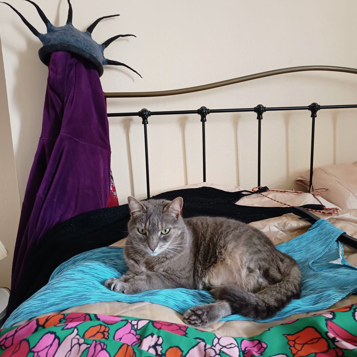 Storm the Palace tweet media