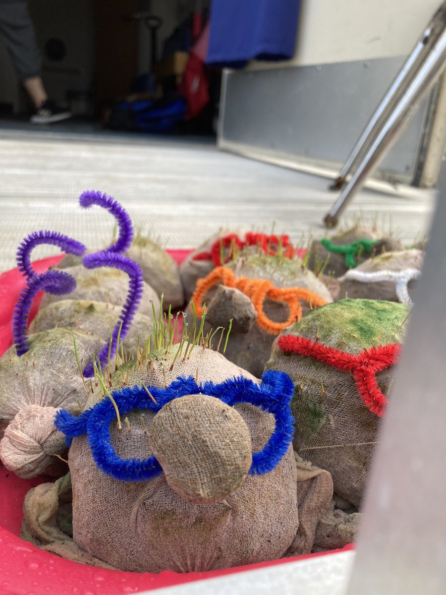 VictoryRidge's tweet photo. In honor of Earth Day, Ms. Justin Wood's class celebrated by growing Chia Pets! Take a look at all the fun they had below.
#VRAPRIDE #VictoryRidgeAcademy https://t.co/Mmn3zQ8nkK