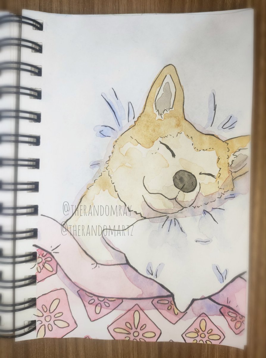 therandomray's tweet photo. Sleepin' shiba inu
#shibainu #watercolor #watercolorpainting #cute #dog #shibainuart #shibainucute #art #drawing #drawingart https://t.co/PdTZyNesjw