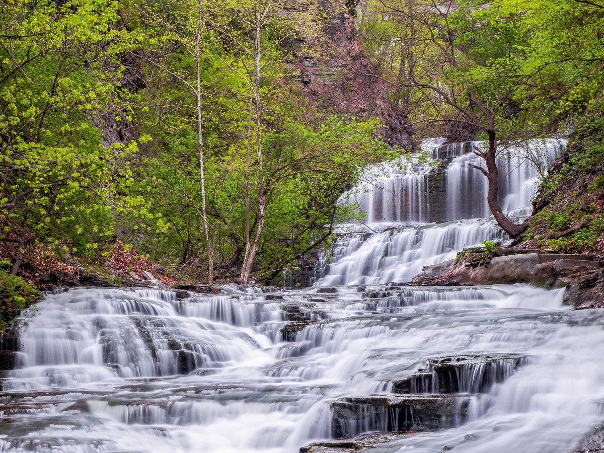 gofingerlakes's tweet image. 🌲 Cascadilla Gorge— a stunningly beautiful connective corridor that runs from downtown Ithaca to the Cornell University campus. 

🌎 Directions and more: gofingerlakes.org/cascadilla
📷 Photos: Chris Ray
#GoFingerLakes #GoHiking