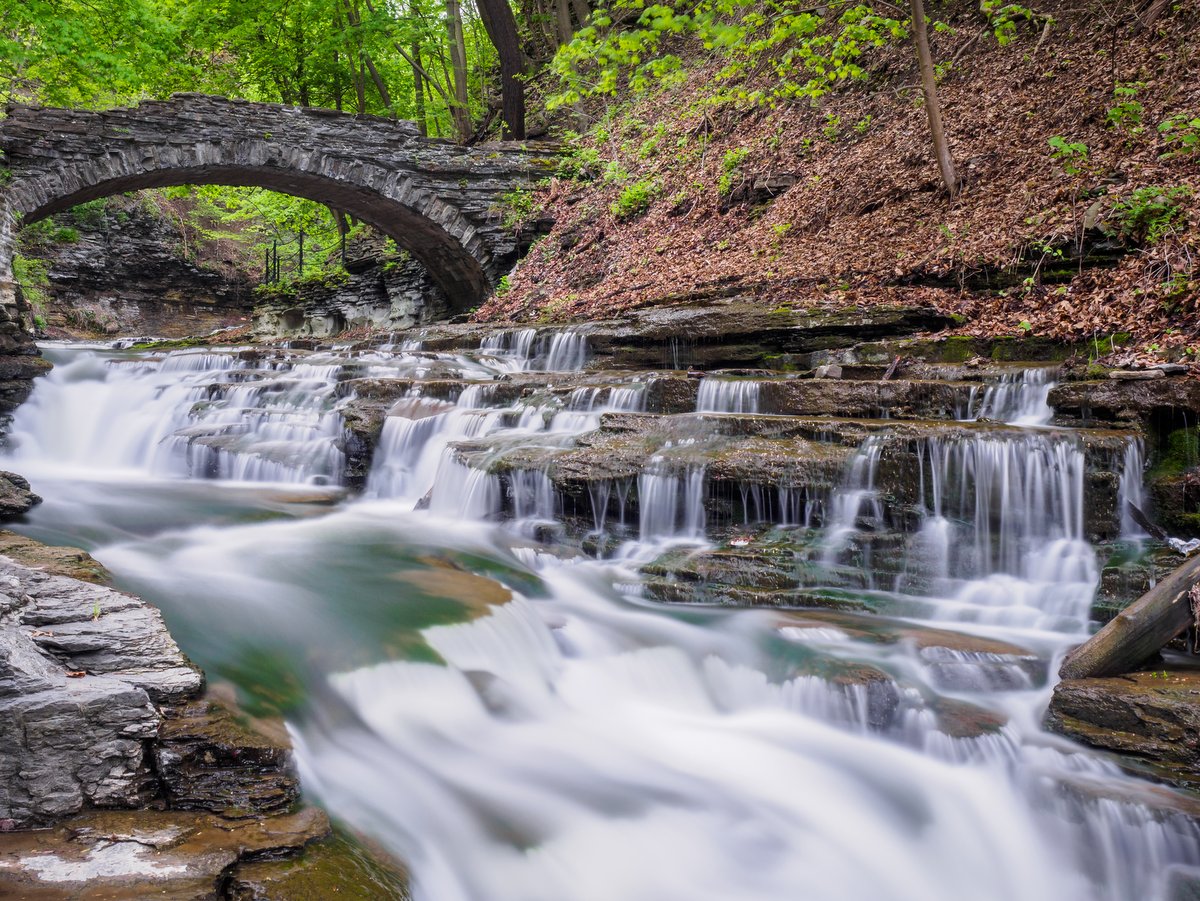 gofingerlakes's tweet image. 🌲 Cascadilla Gorge— a stunningly beautiful connective corridor that runs from downtown Ithaca to the Cornell University campus. 

🌎 Directions and more: gofingerlakes.org/cascadilla
📷 Photos: Chris Ray
#GoFingerLakes #GoHiking