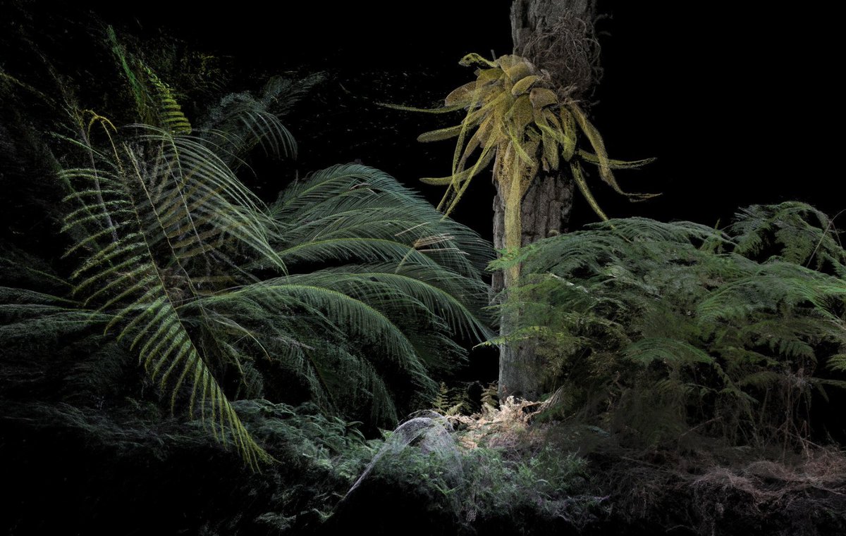 🔵 ANUNCIAMOS a los ganadores del XVI Premio de Fotografía Fundación ENAIRE 

🥇PRIMER PREMIO - Marina Vargas por 'Romper el canon'

🥈 SEGUNDO PREMIO - Jonás Bel y Rafael Trapiello por 'San Mamés de Burgos'

🥉 TERCER PREMIO - Cristóbal Ascencio por 'Bosques'

¡Enhorabuena!