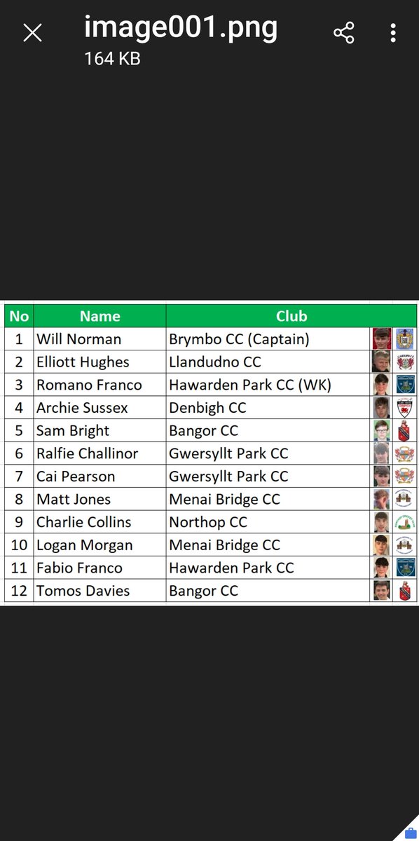 The U19 Wales National County North Squad for the game at Shrewsbury School this Sunday 14th May 11AM start..please join us well done to you all on selection.