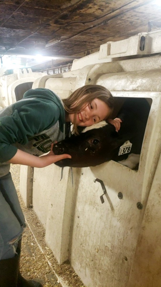 MrsShowers56's tweet photo. 🐄🥛 Last week we toured Kenbert Acres dairy farm. Such a neat place! It was a perfect fit to our agriculture unit in Social Studies! 🐄🥛 @drakeschoolsk https://t.co/1G4FBvbT1u