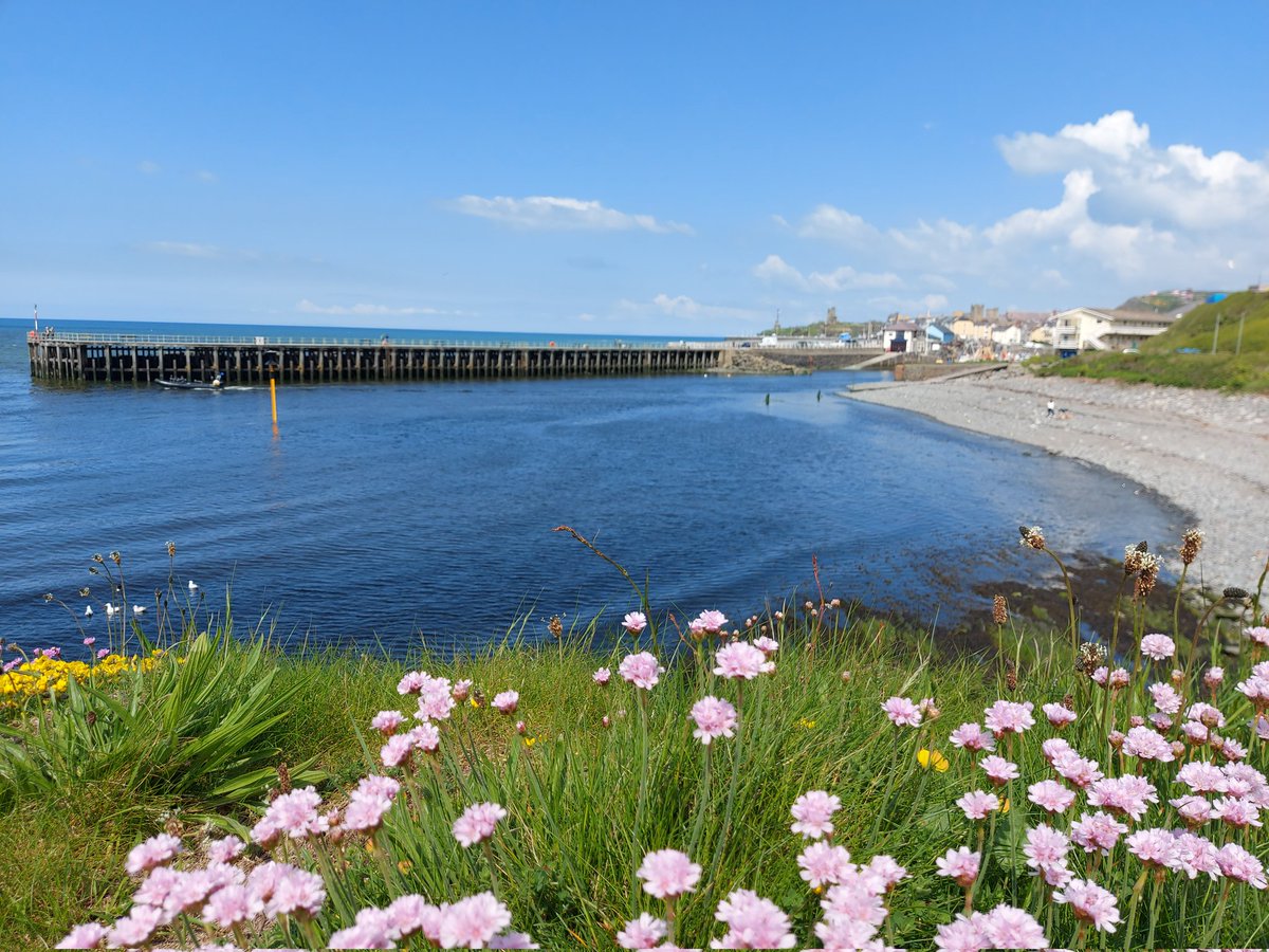 17 degrees sunny and warm in Aberystwyth #welshpassion courtesy @wendiihouse #peoplewithpassion