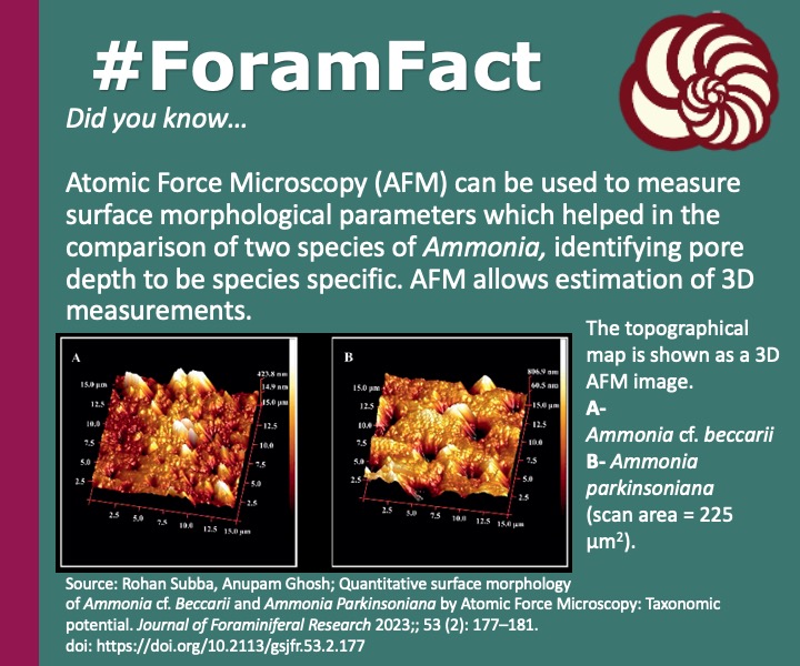 CushmanFdn's tweet photo. #ForamFact
Atomic  Force Microscopy (AFM) can be used to measure surface morphological  parameters which helped in the comparison of two species of Ammonia, identifying pore depth to be species specific. AFM allows estimation of 3D measurements. Read more: https://t.co/AbmBKzpfhg https://t.co/IwlDfw5xbV
