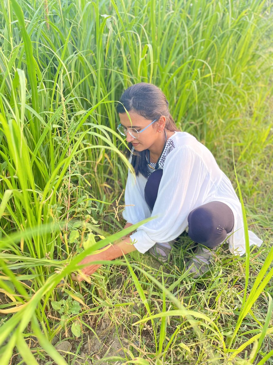toral_chaudhary's tweet photo. बहुविघ्नास्तु सदा कल्याणसिद्धयः
शुभ सिद्धियां अनेक बाधाओं से ग्रस्त होती हैं।
Auspicious achievements are ridden with many obstacles.  
#learningnewthing #doctolife #farming https://t.co/veGQRCntWc